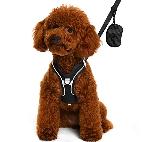 BENRON Dog Harness and Leash Set, No Pull Dog Harness for Small Medium Dogs