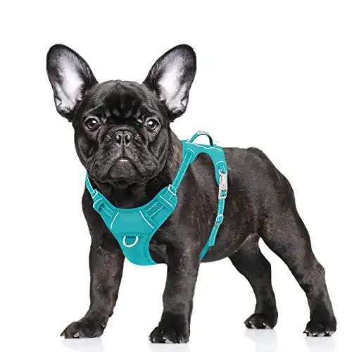 BARKBAY No Pull Dog Harness Large Step in Reflective Dog Harness