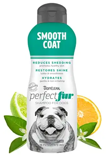TropiClean Perfect Fur Dog Shampoo for Shedding Control & Restoring Shine for All Breeds with A Smooth Coat, 16 Ounce