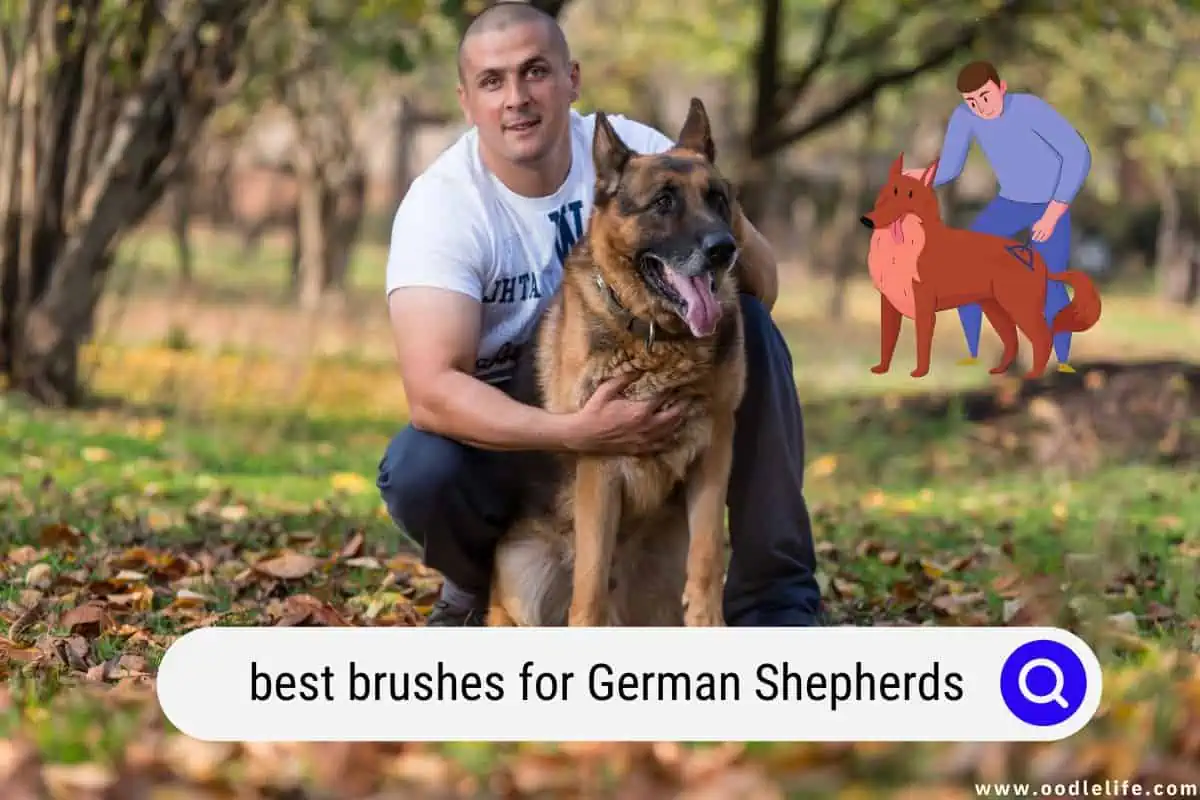 best brushes for German Shepherds
