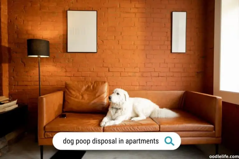 dog poop disposal in apartment