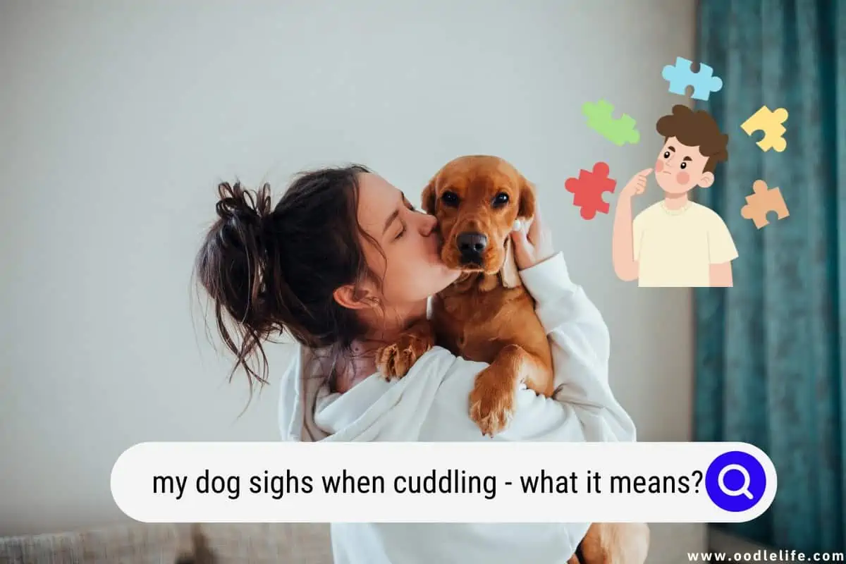 dog sighs when cuddling
