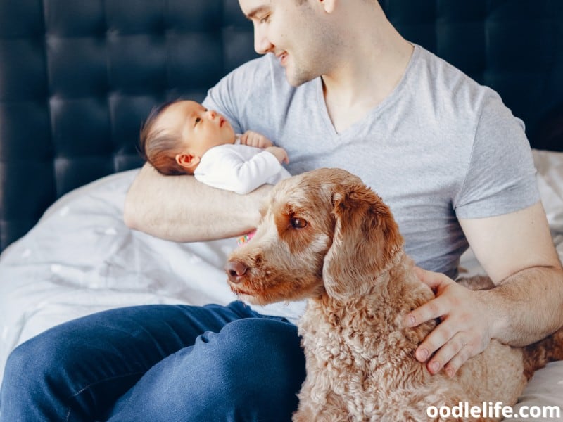 father with baby and dog