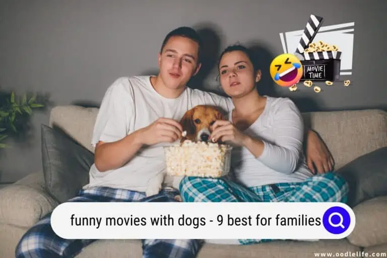 Funny Movies With Dogs (9 Best for Families) 