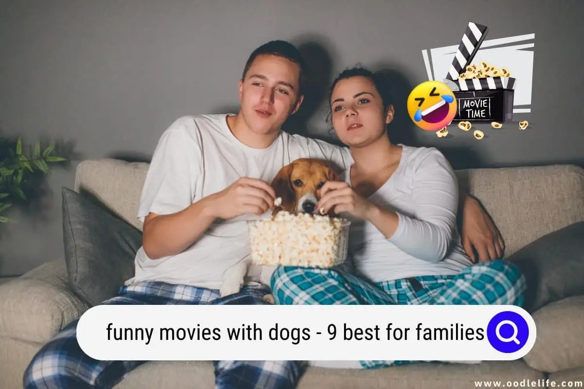 funny movies with dogs
