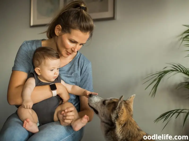 mother and son with a dog