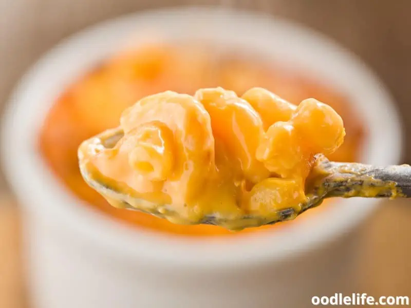 spoon with mac and cheese