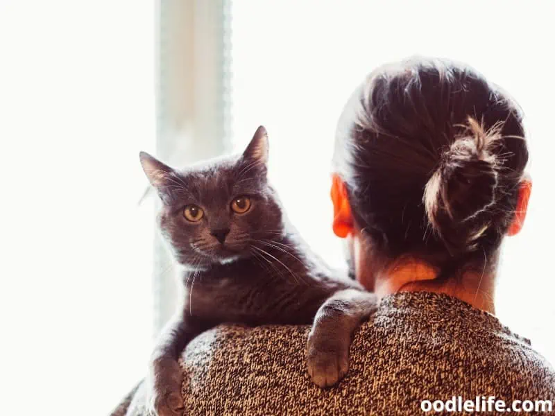 woman carries a cat