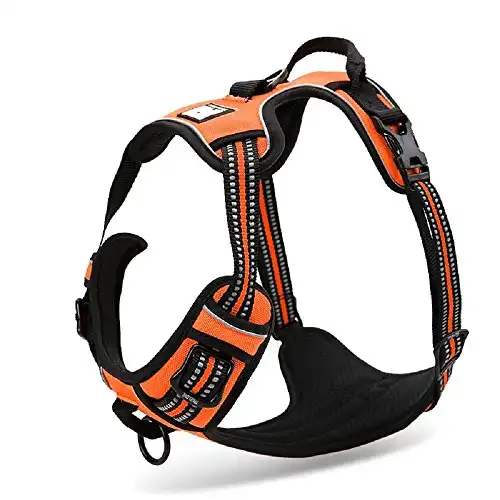 Chai's Choice Best Outdoor Adventure Dog Harness. 3M Reflective Vest Caution - Please Measure Dog Before Ordering! Matching Leash and Collar Available (X-Small, Bright Orange)