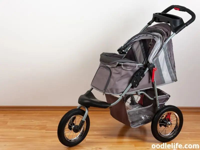dog stroller inside the house