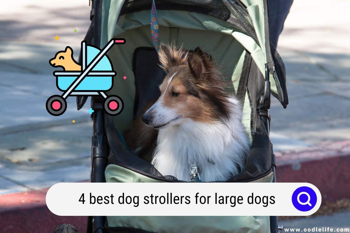 4 Best Dog Strollers For LARGE Dogs (2024) Oodle Life