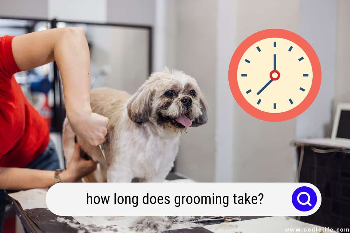 how long does grooming take