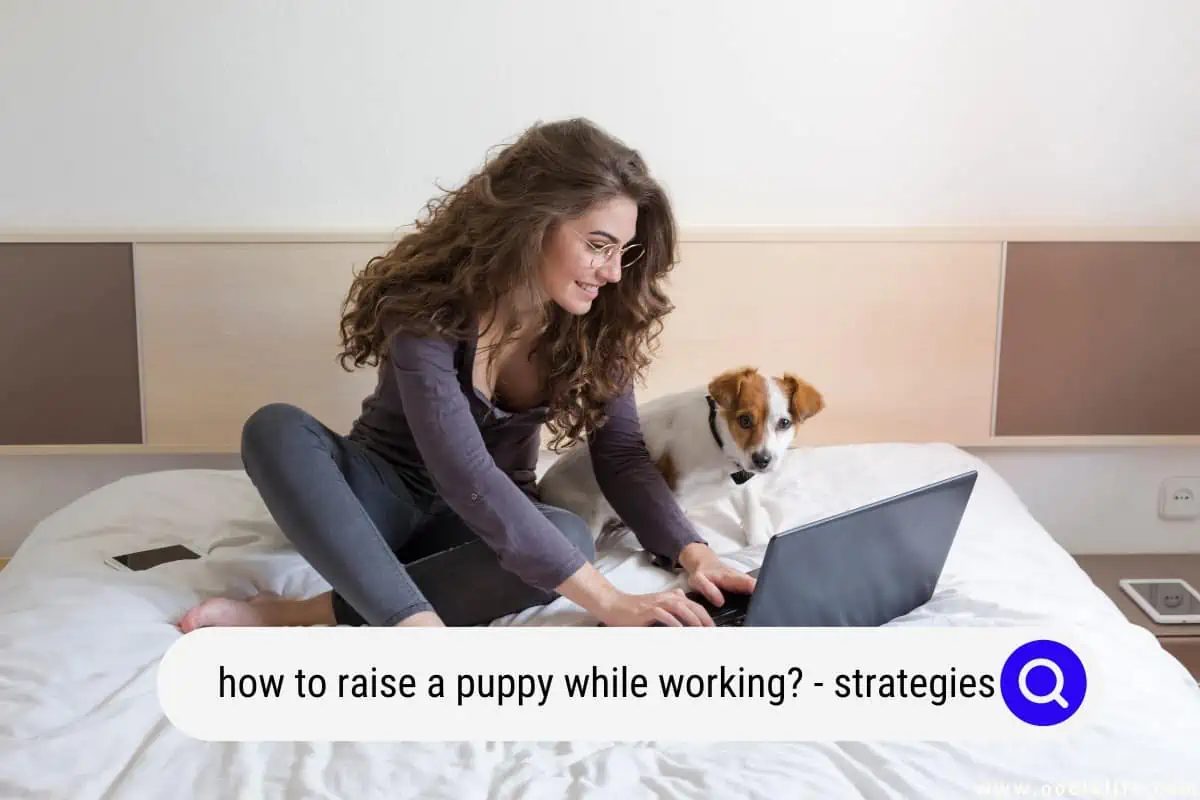 how to raise a puppy while working
