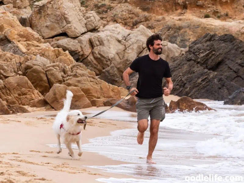 owner runs with his dog at the beach