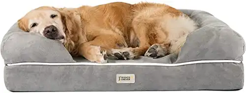 Friends Forever Memory Foam Orthopedic Dog Bed Lounge Sofa, Machine Washable Removable Cover, Premium Extra Soft Faux Suede Edition, Indoor Calming Couch Mattress With Bolster Rim , Pewter Grey Large