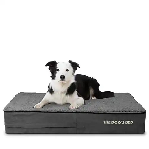 The Dog’s Bed Orthopedic Memory Foam Dog Bed, Large Grey Plush 40x25, Pain Relief for Arthritis, Hip & Elbow Dysplasia, Post Surgery, Lameness, Supportive, Calming, Waterproof Washable Cover