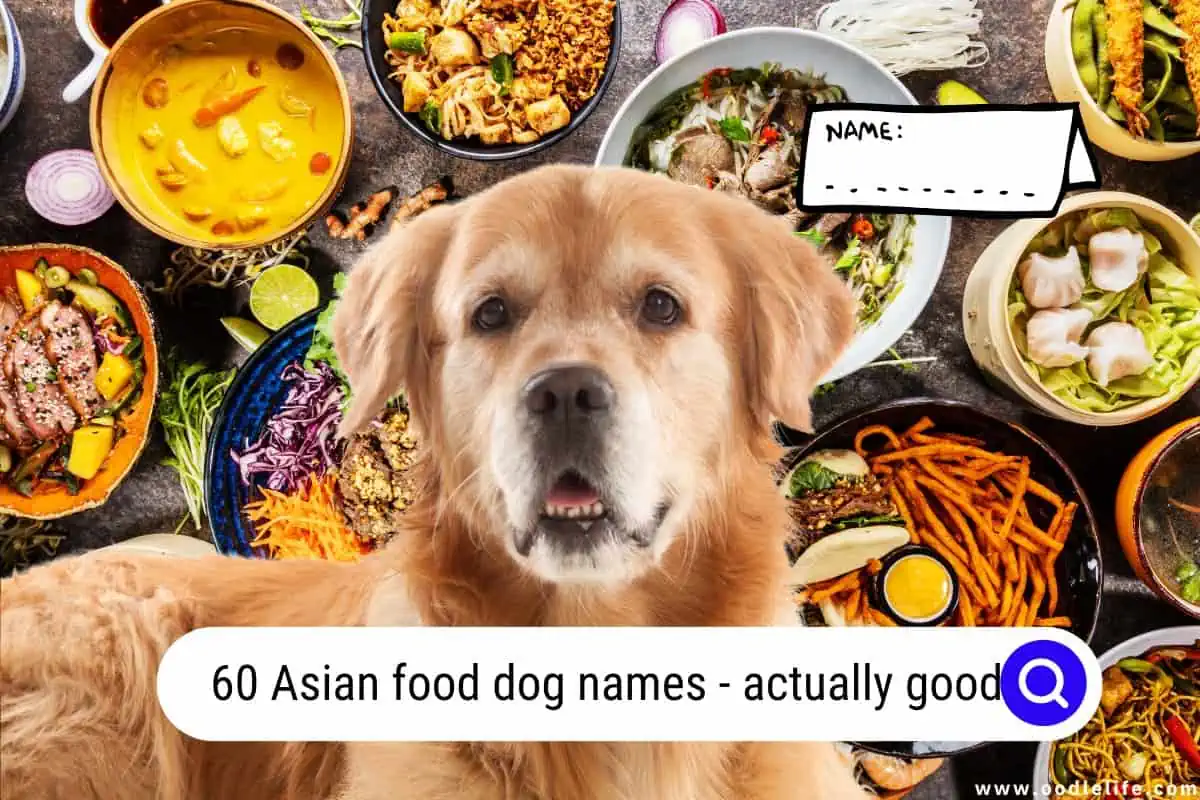 Asian food dog names