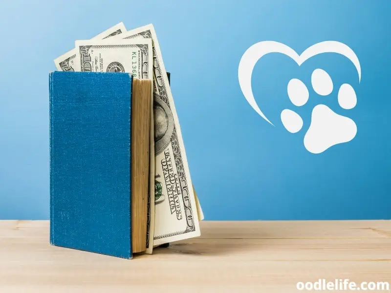 book and dog budget