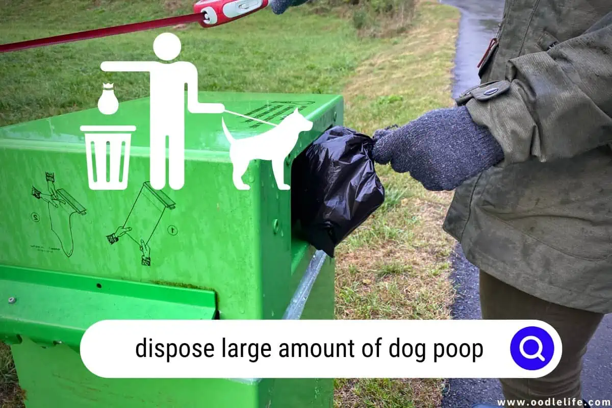 dispose large amount of dog poop