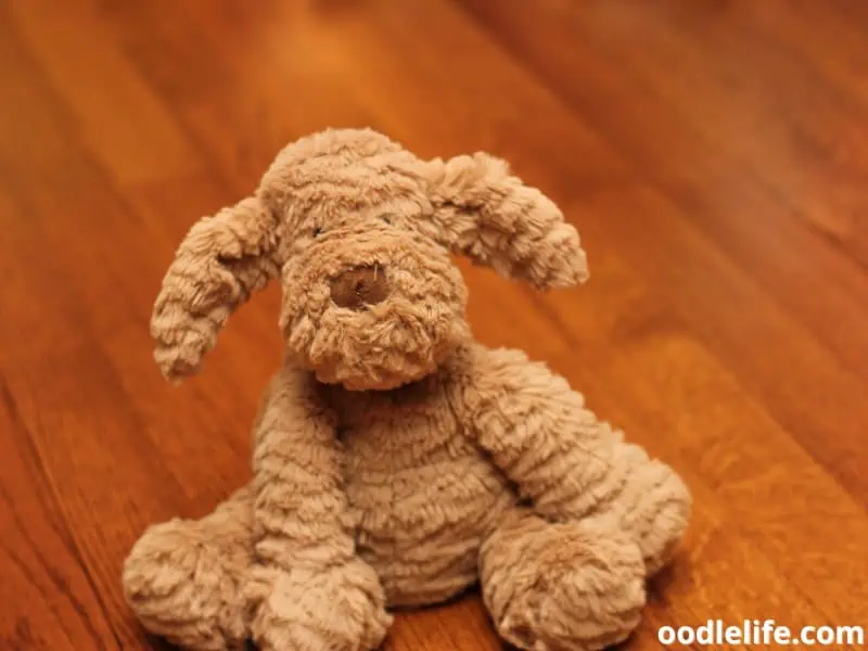 dog stuffed toy on the floor