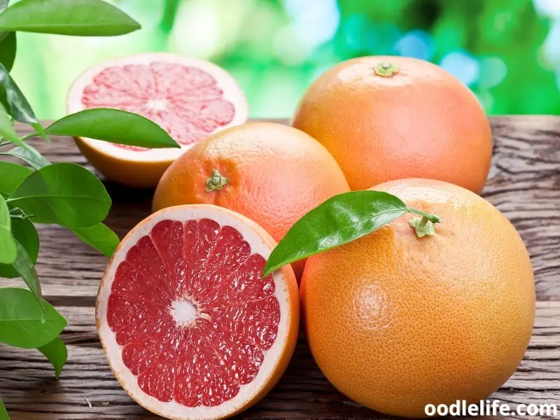 grapefruit benefits for dogs