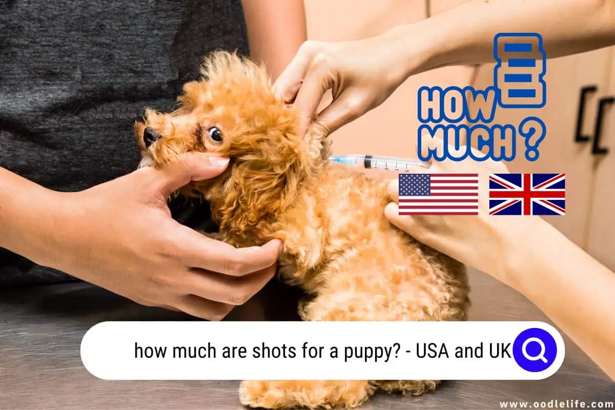 how much are shots for a puppy