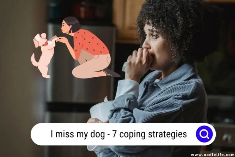 I Miss My Dog: 7 Coping Strategies
