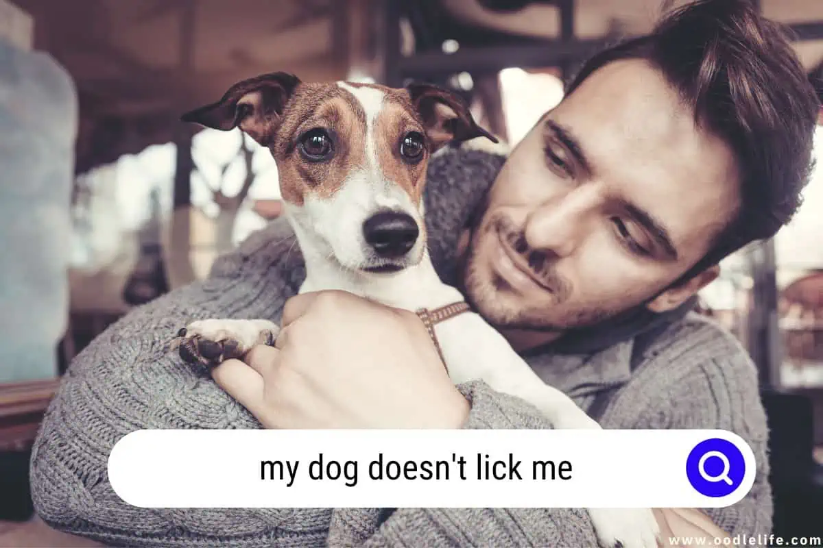 my dog doesn't lick me