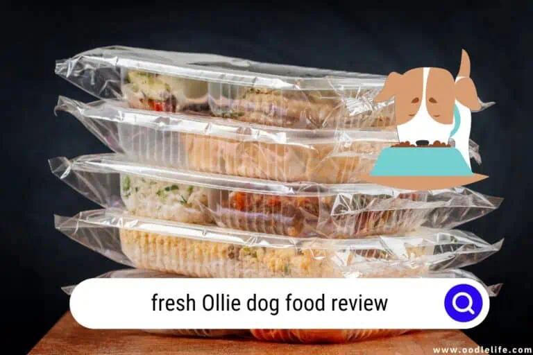 Fresh Ollie Dog Food Review (2024)