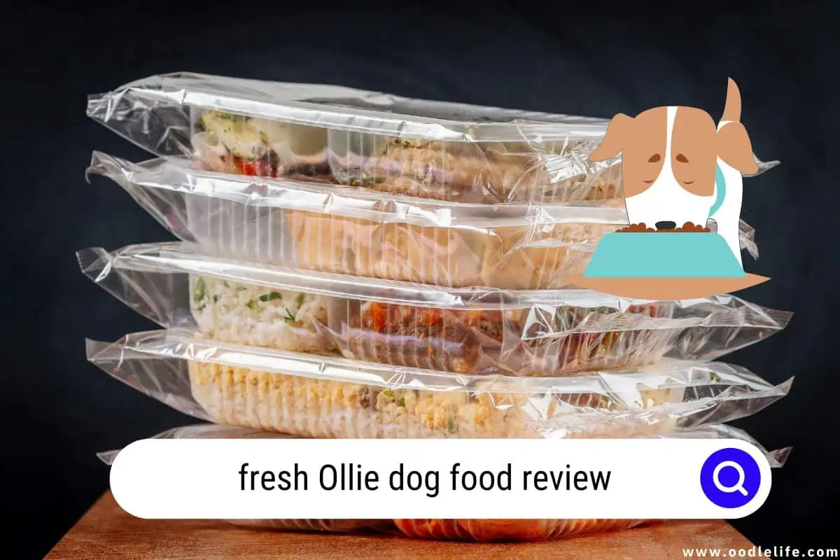 Ollie dog food review