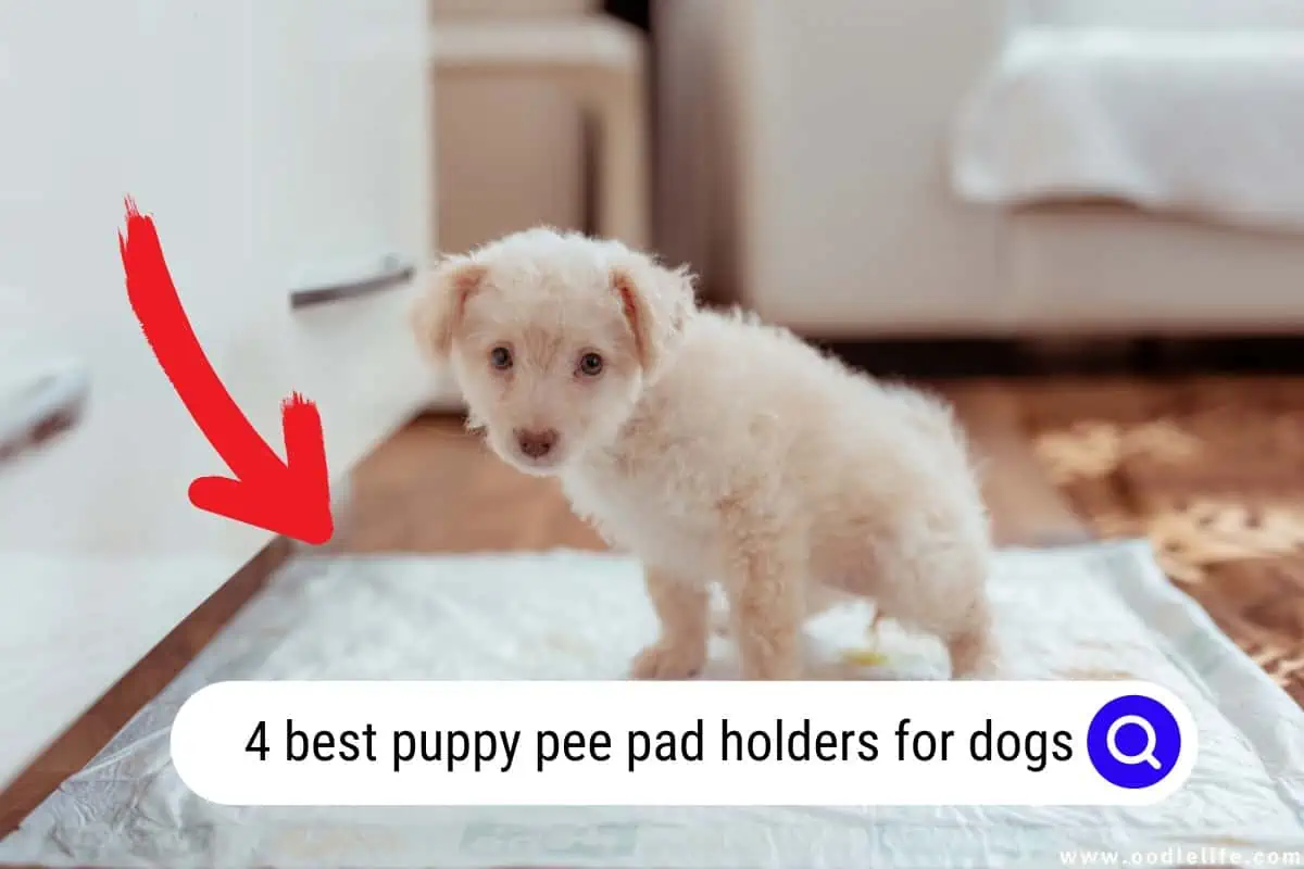 pee pad holders for dogs