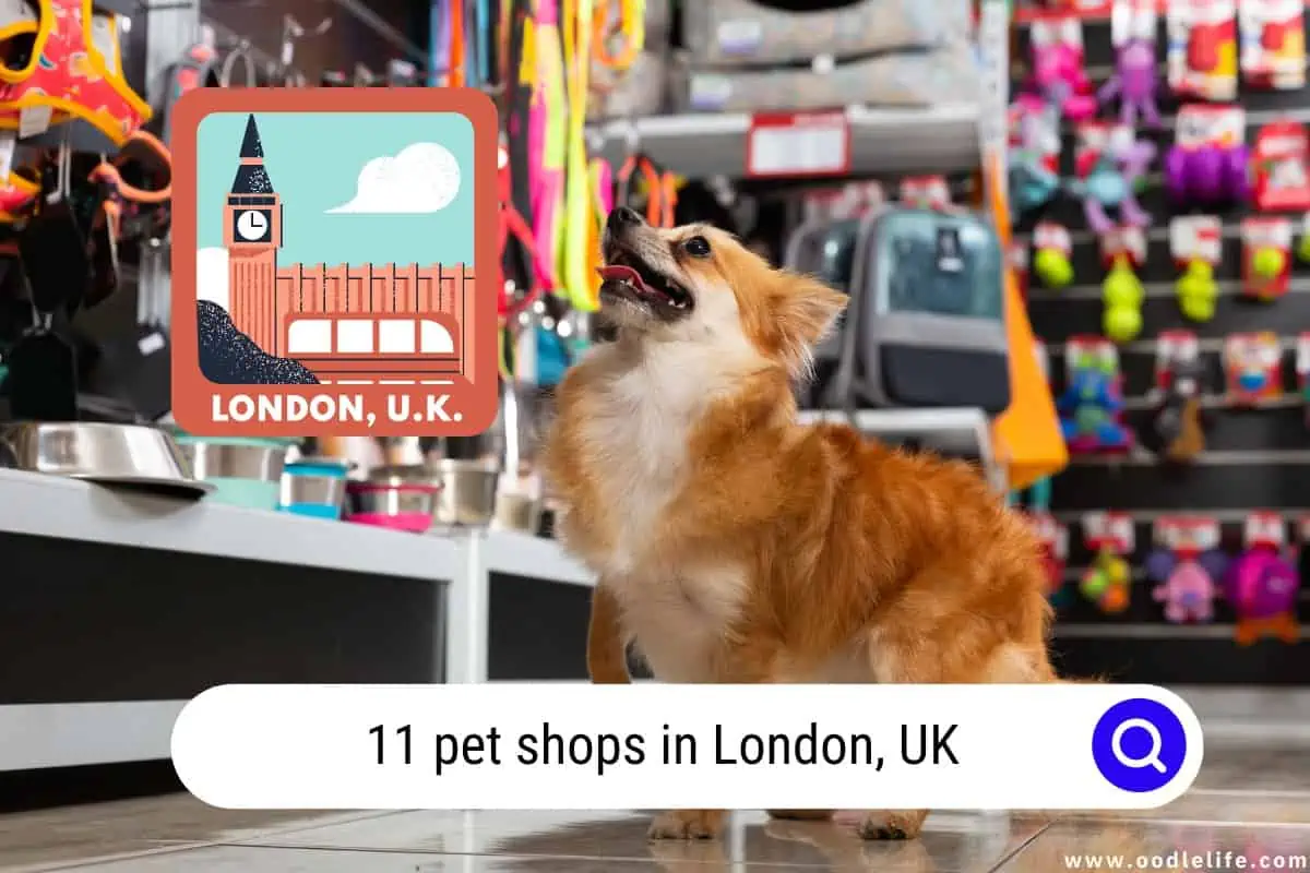 pet shops in London UK