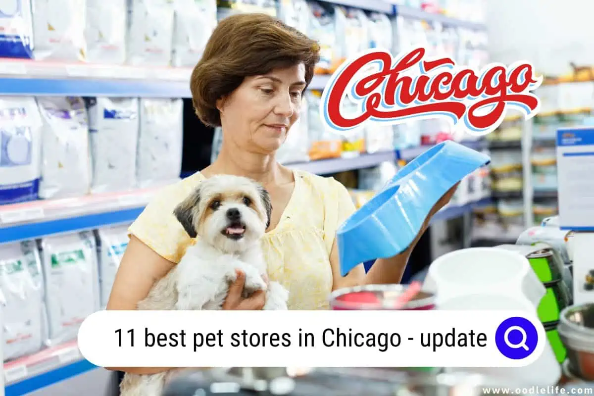 pet stores in Chicago