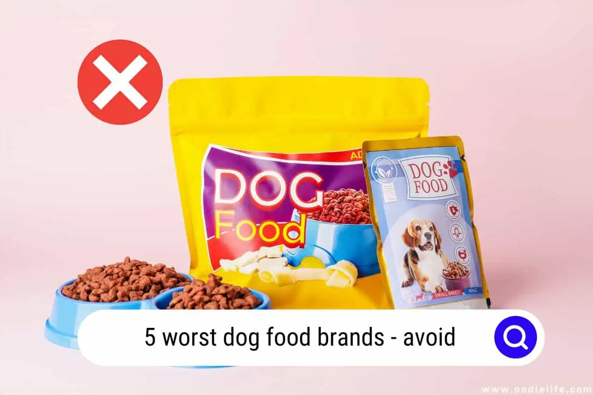 worst dog food brands