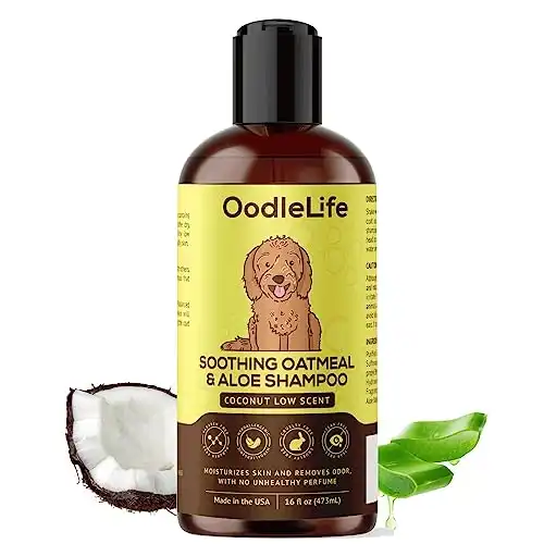 OODLELIFE Soothing Shampoo and Conditioner Aloe Oatmeal + Coconut