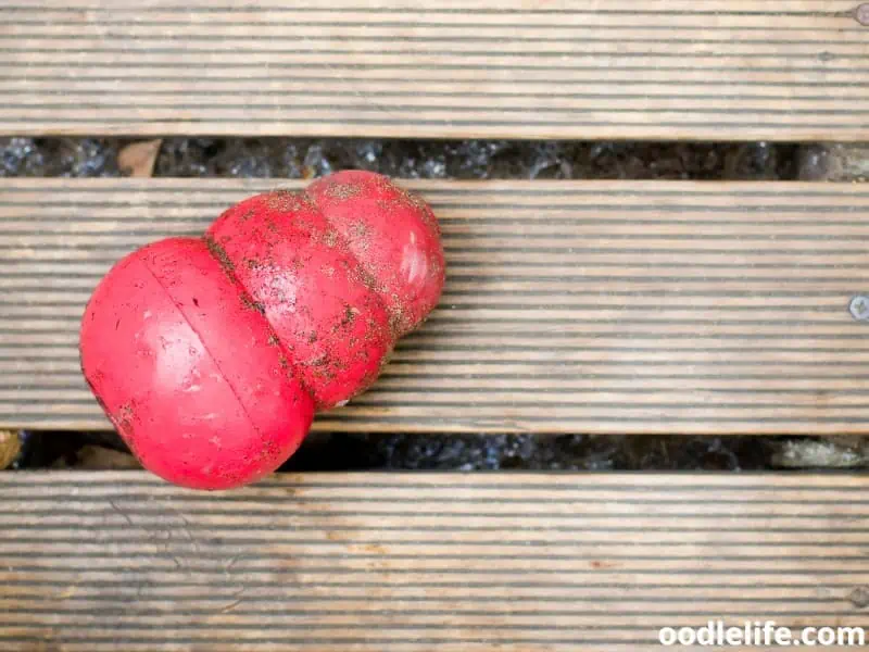 Kong toy covered with dirt