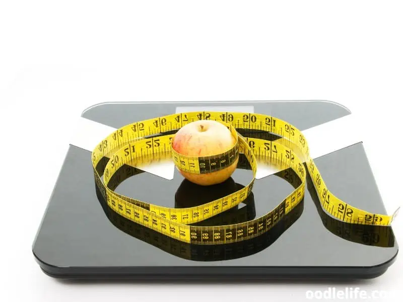 weighing scale and tape measure