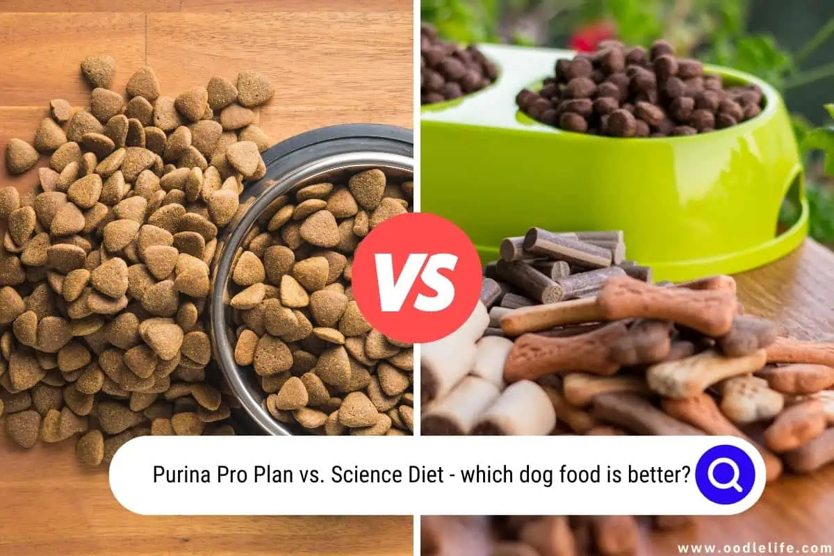 Purina Pro Plan Vs Science Diet 2024 Unbiased Comparison Oodle Life
