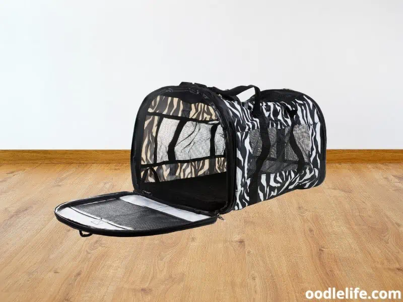 soft-sided carrier for dogs