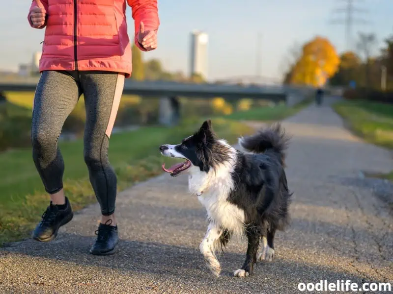 woman runs with dog