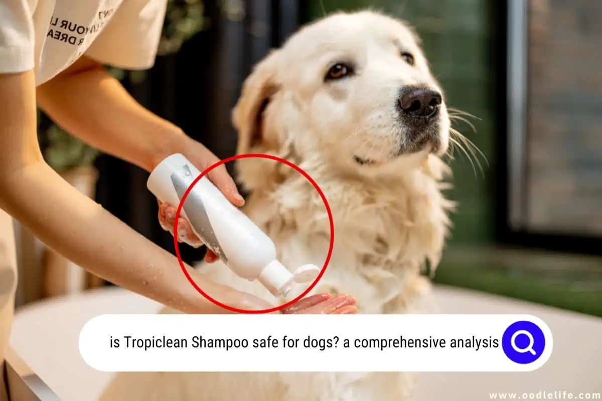 is Tropiclean Shampoo safe for dogs