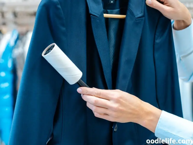 woman uses lint roller for pet hairs