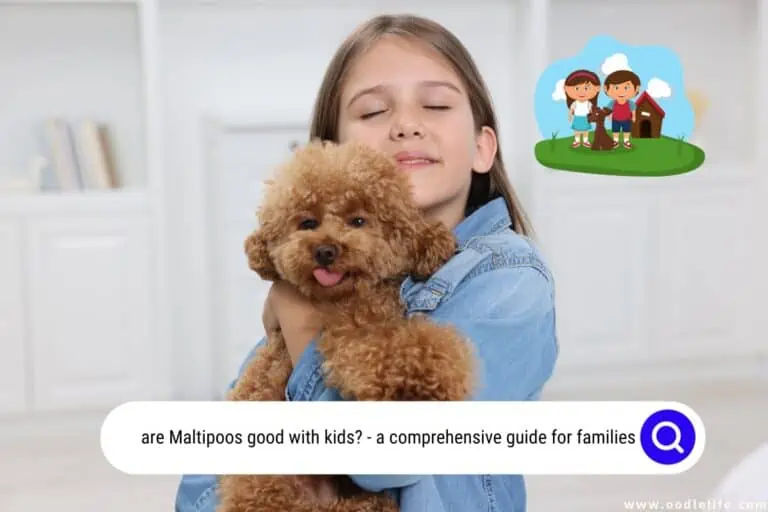 Are Maltipoos Good with Kids? A Comprehensive Guide for Families