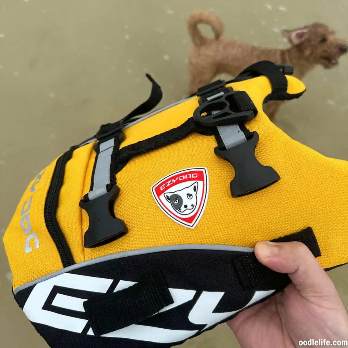 EzyDog DFD Life Jacket Review (Expert Hands-On) 4