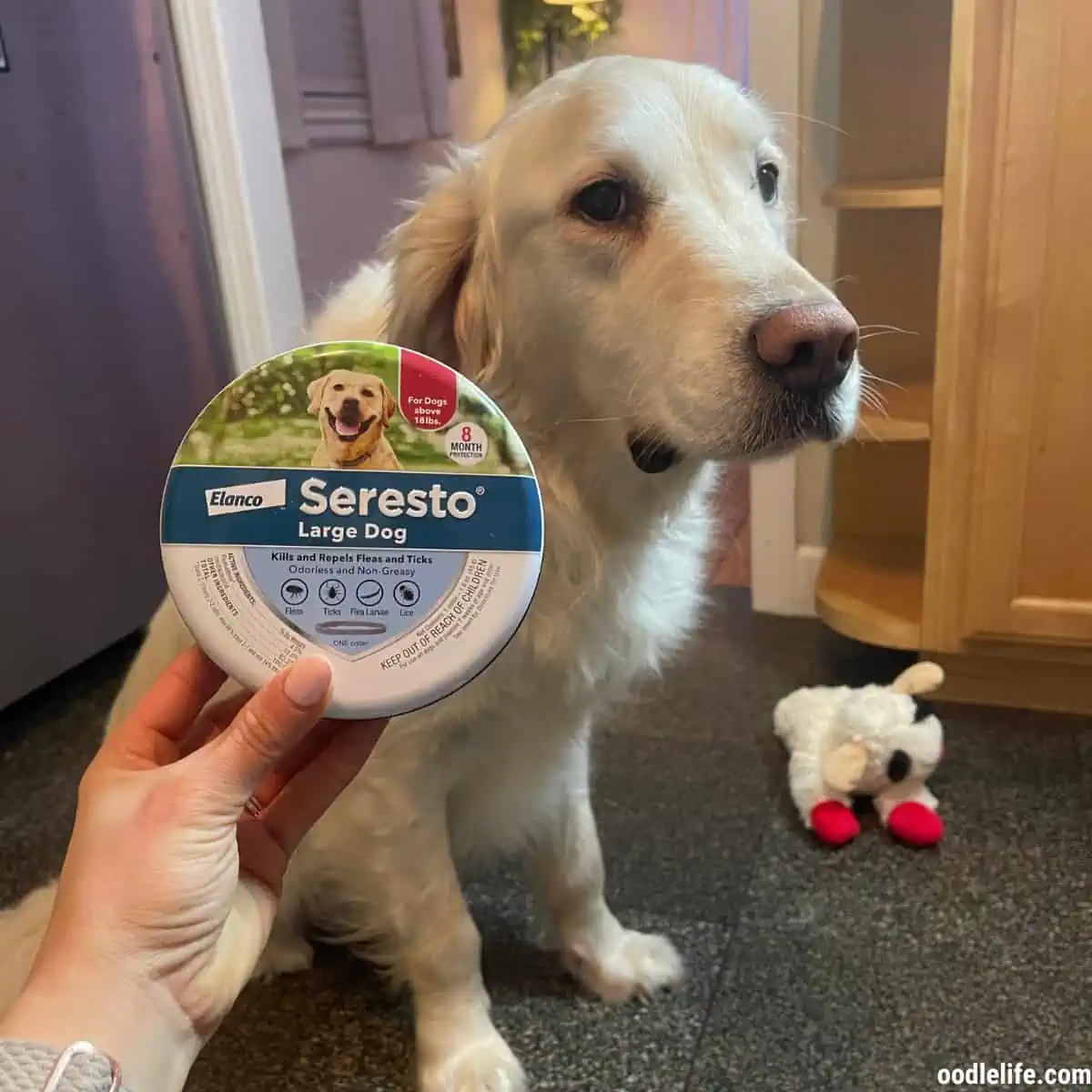 Is the Seresto Large Dog Flea & Tick Collar Worth the $$? [Hands-on Test] 4