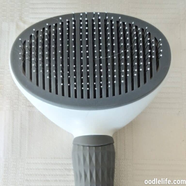Depets Self Cleaning Slicker Brush Review (Hands-on Testing)