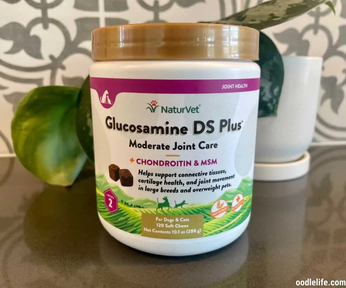 Glucosamine joint care supplements for dogs