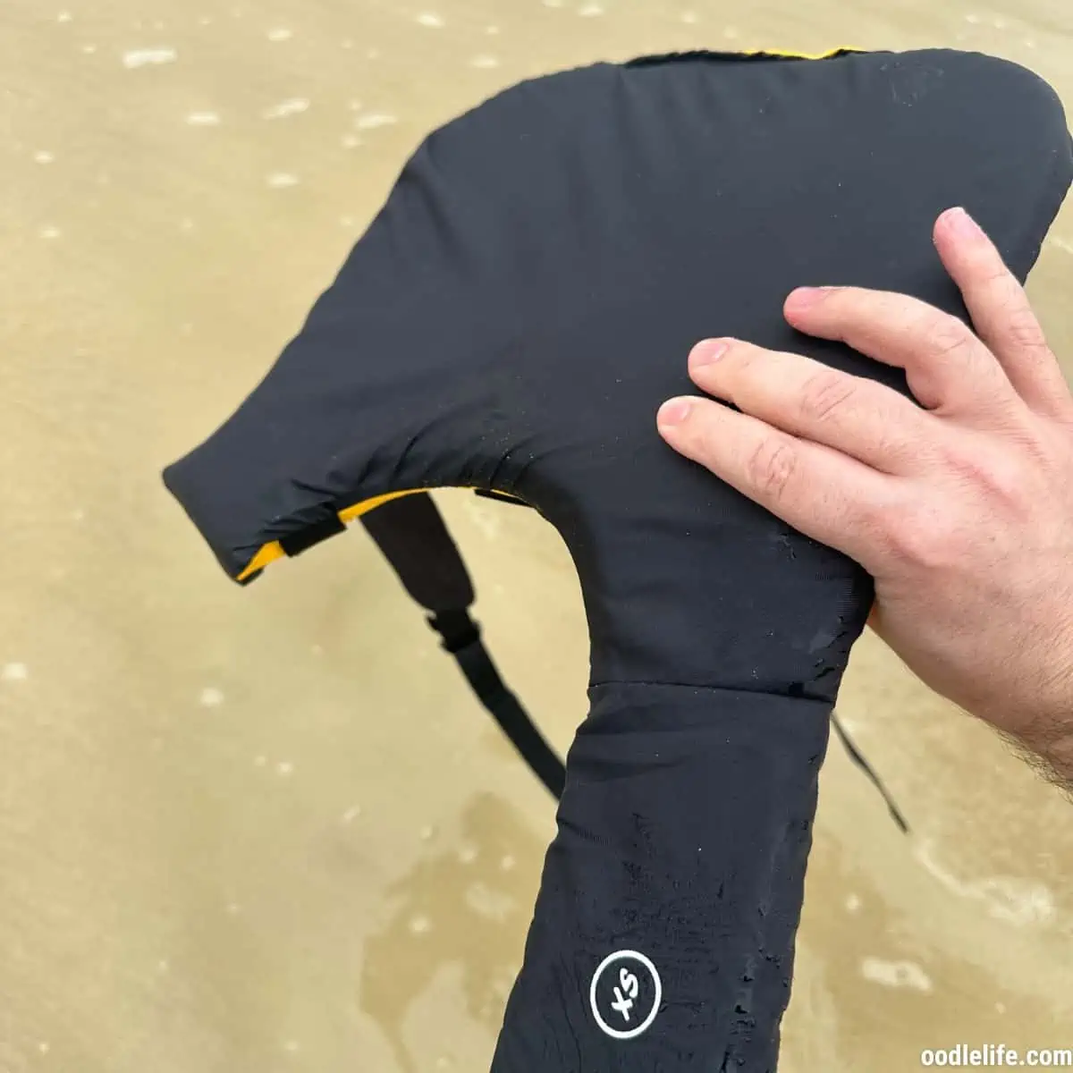 EzyDog DFD Life Jacket Review (Expert Hands-On) 2