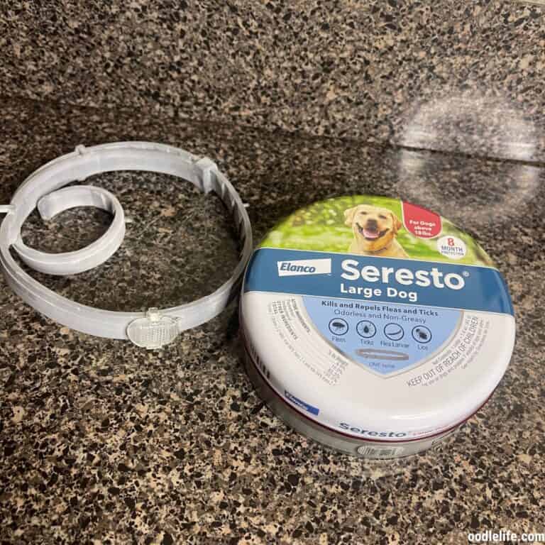 Is The Seresto Large Dog Flea & Tick Collar Worth The ? [Handson Test] OodleLife®