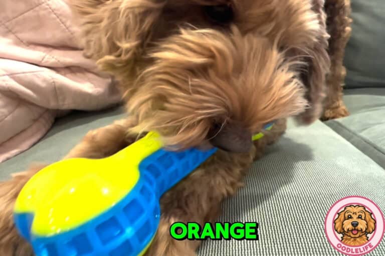 Nerf Dog 7in TPR EXO Squeak Bone Review: Paw-some or Barking Mad?